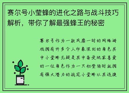 赛尔号小莹蜂的进化之路与战斗技巧解析，带你了解最强蜂王的秘密